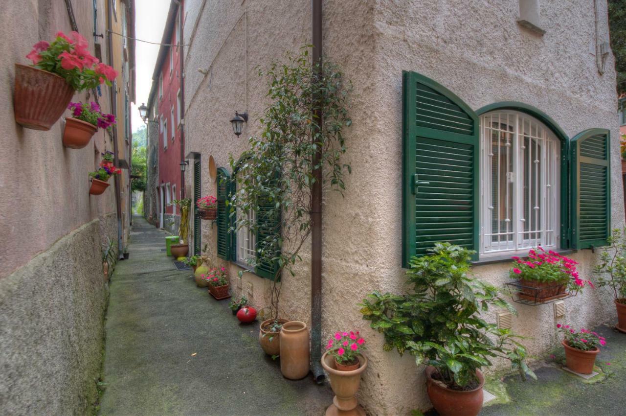 Appartamento In Villa A 5 Km Dal Mare アルビソーラ・スペリオーレ エクステリア 写真